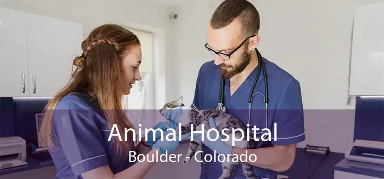 Animal Hospital Boulder - Colorado