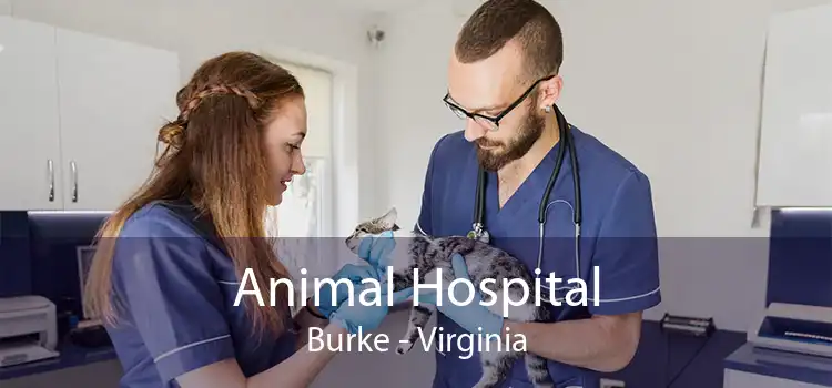 Animal Hospital Burke - Virginia