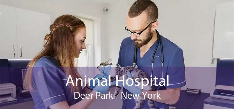 Animal Hospital Deer Park - New York
