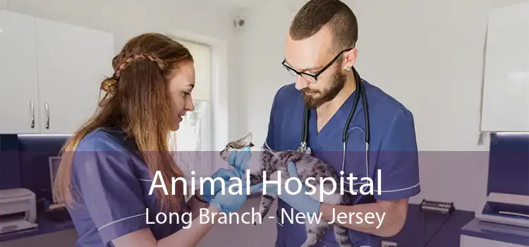 Animal Hospital Long Branch - New Jersey