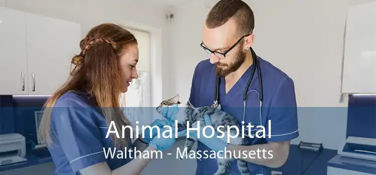 Animal Hospital Waltham - Massachusetts
