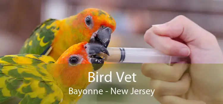 Bird Vet Bayonne - New Jersey