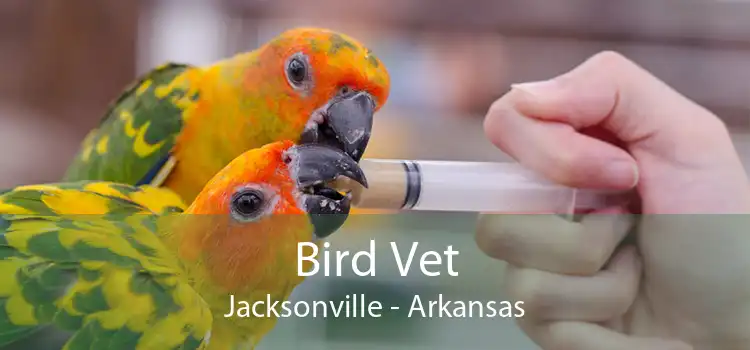 Bird Vet Jacksonville - Arkansas