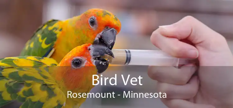 Bird Vet Rosemount - Minnesota