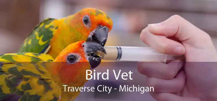 Bird Vet Traverse City - Michigan