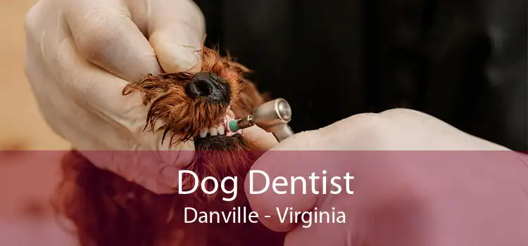 Dog Dentist Danville - Virginia