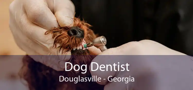 Dog Dentist Douglasville - Georgia