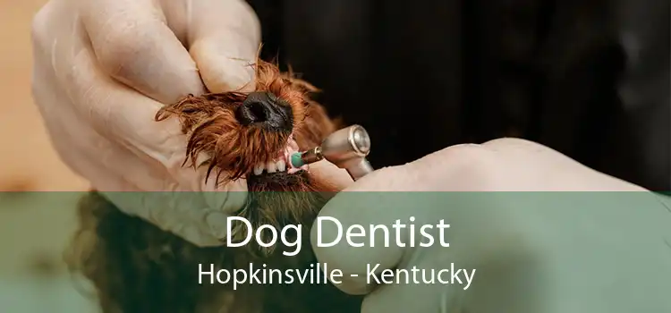 Dog Dentist Hopkinsville - Kentucky