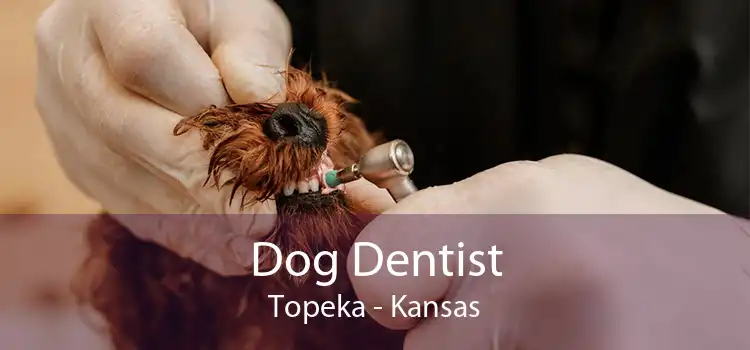 Dog Dentist Topeka - Kansas