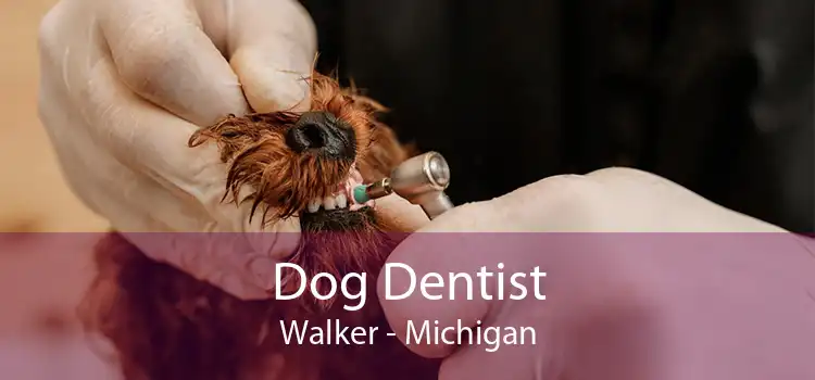 Dog Dentist Walker - Michigan