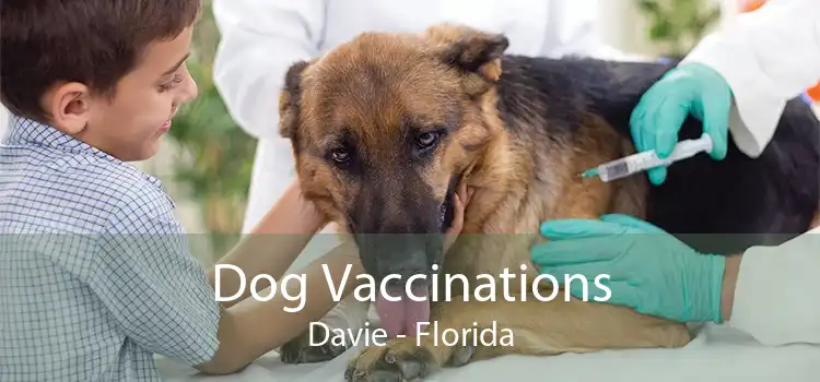 Dog Vaccinations Davie - Florida