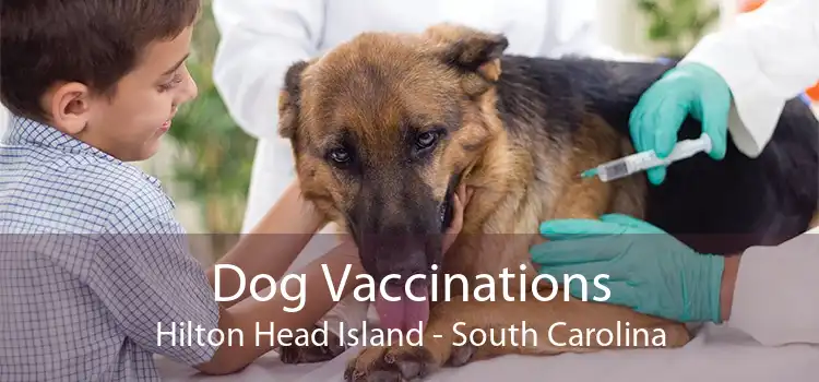 Dog Vaccinations Hilton Head Island - South Carolina