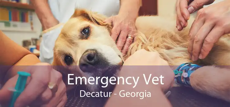Emergency Vet Decatur - Georgia