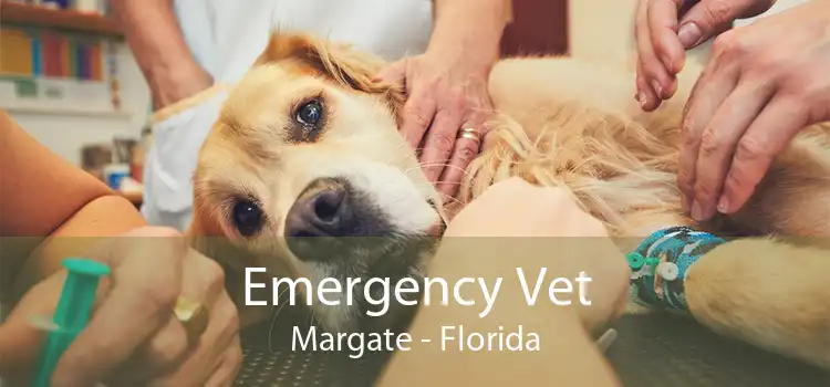 Emergency Vet Margate - Florida