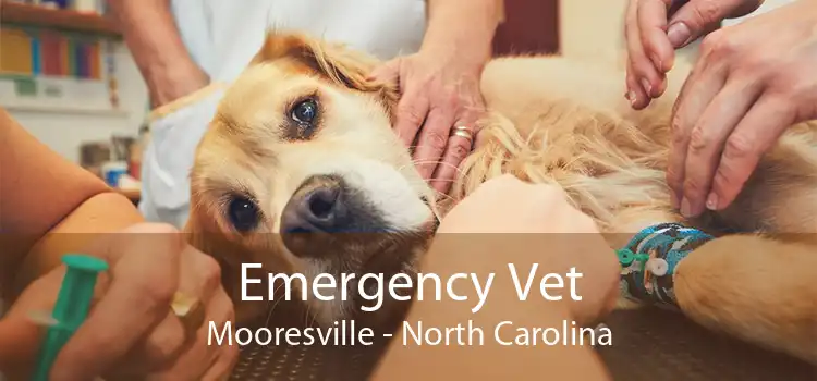 Emergency Vet Mooresville - North Carolina