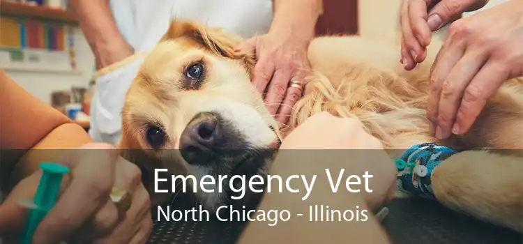 Emergency Vet North Chicago - Illinois