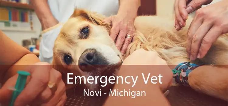 Emergency Vet Novi - Michigan