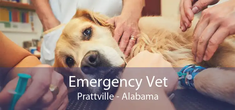 Emergency Vet Prattville - Alabama