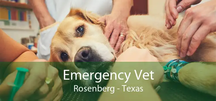 Emergency Vet Rosenberg - Texas