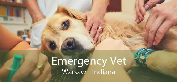 Emergency Vet Warsaw - Indiana