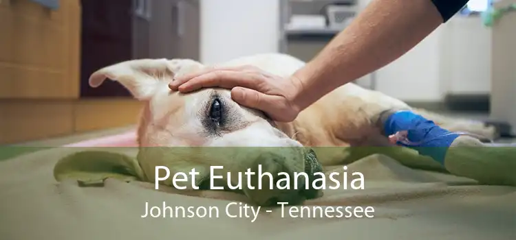 Pet Euthanasia Johnson City - Tennessee