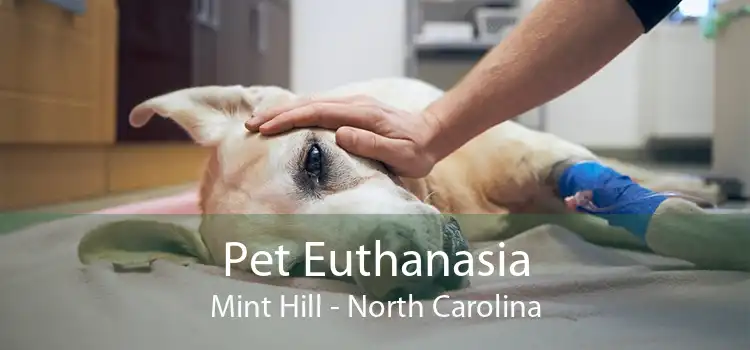 Pet Euthanasia Mint Hill - North Carolina