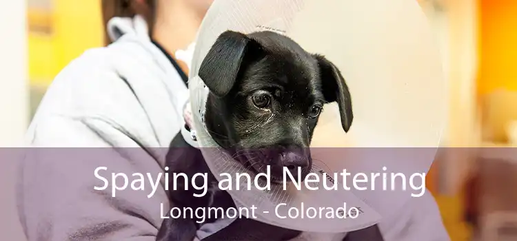 Spaying and Neutering Longmont - Colorado