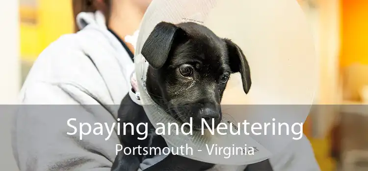 Spaying and Neutering Portsmouth - Virginia