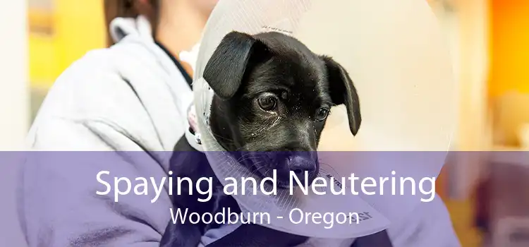 Spaying and Neutering Woodburn - Oregon