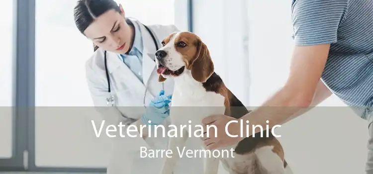 Veterinarian Clinic Barre Vermont