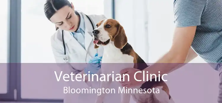 Veterinarian Clinic Bloomington Minnesota
