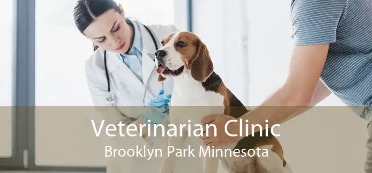Veterinarian Clinic Brooklyn Park Minnesota