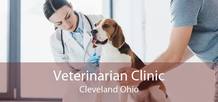 Veterinarian Clinic Cleveland Ohio