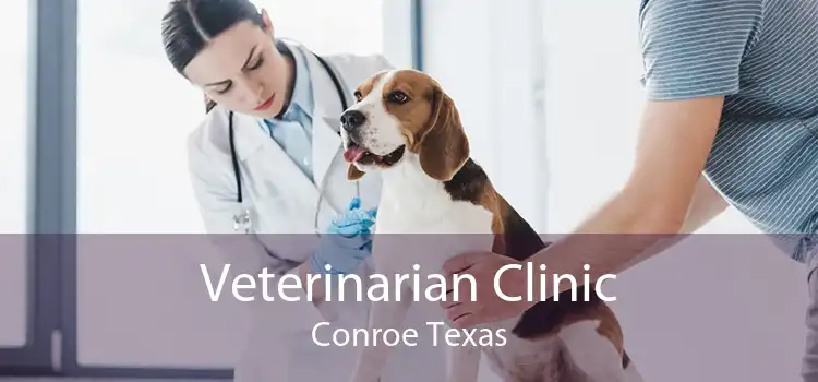 Veterinarian Clinic Conroe Texas