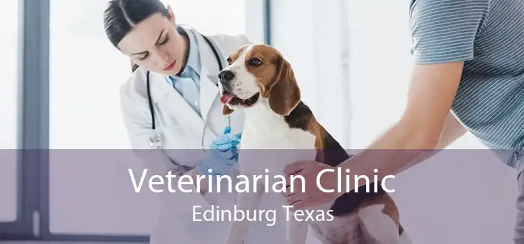 Veterinarian Clinic Edinburg Texas