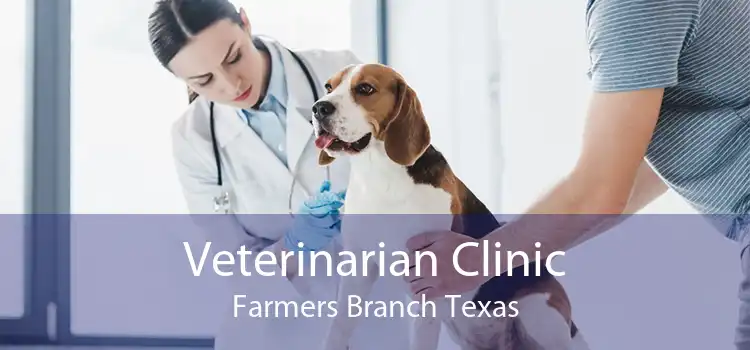 Veterinarian Clinic Farmers Branch Texas
