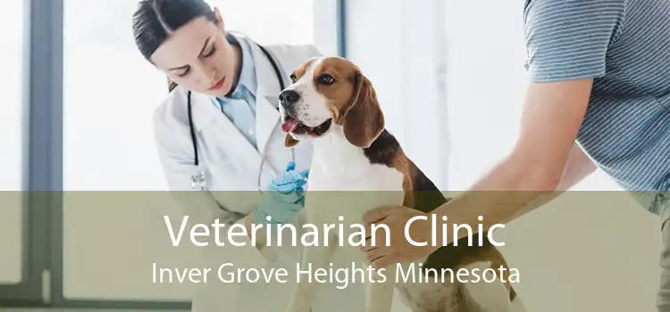 Veterinarian Clinic Inver Grove Heights Minnesota