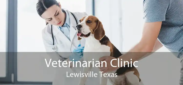 Veterinarian Clinic Lewisville Texas