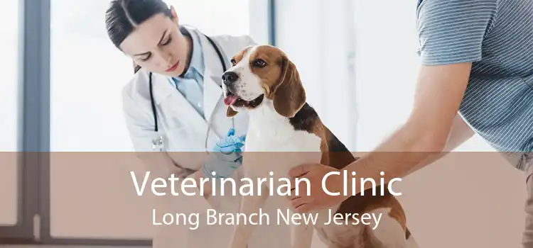 Veterinarian Clinic Long Branch New Jersey