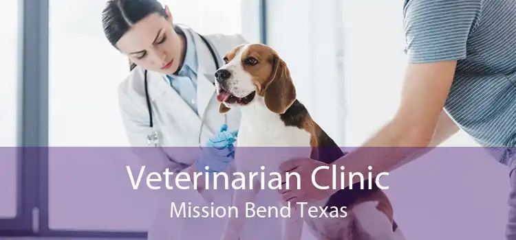 Veterinarian Clinic Mission Bend Texas