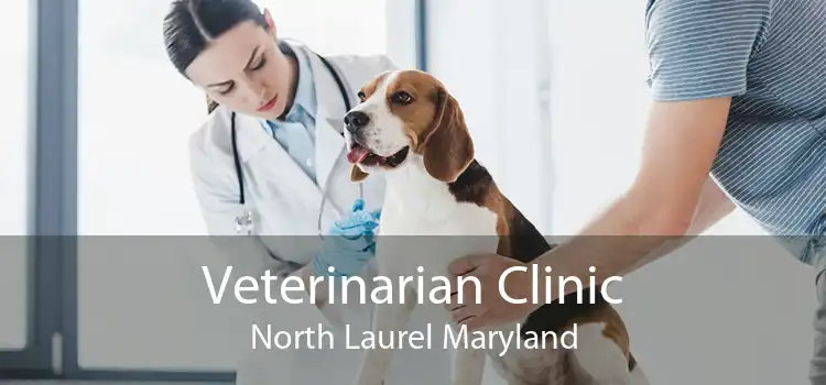 Veterinarian Clinic North Laurel Maryland