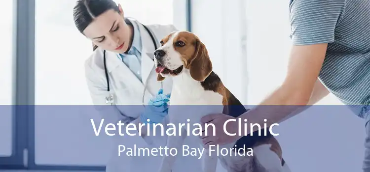 Veterinarian Clinic Palmetto Bay Florida