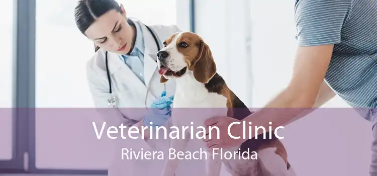 Veterinarian Clinic Riviera Beach Florida