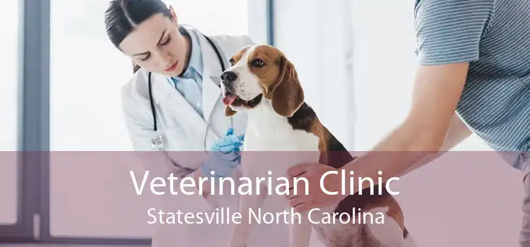 Veterinarian Clinic Statesville North Carolina