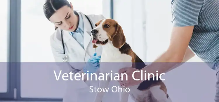 Veterinarian Clinic Stow Ohio